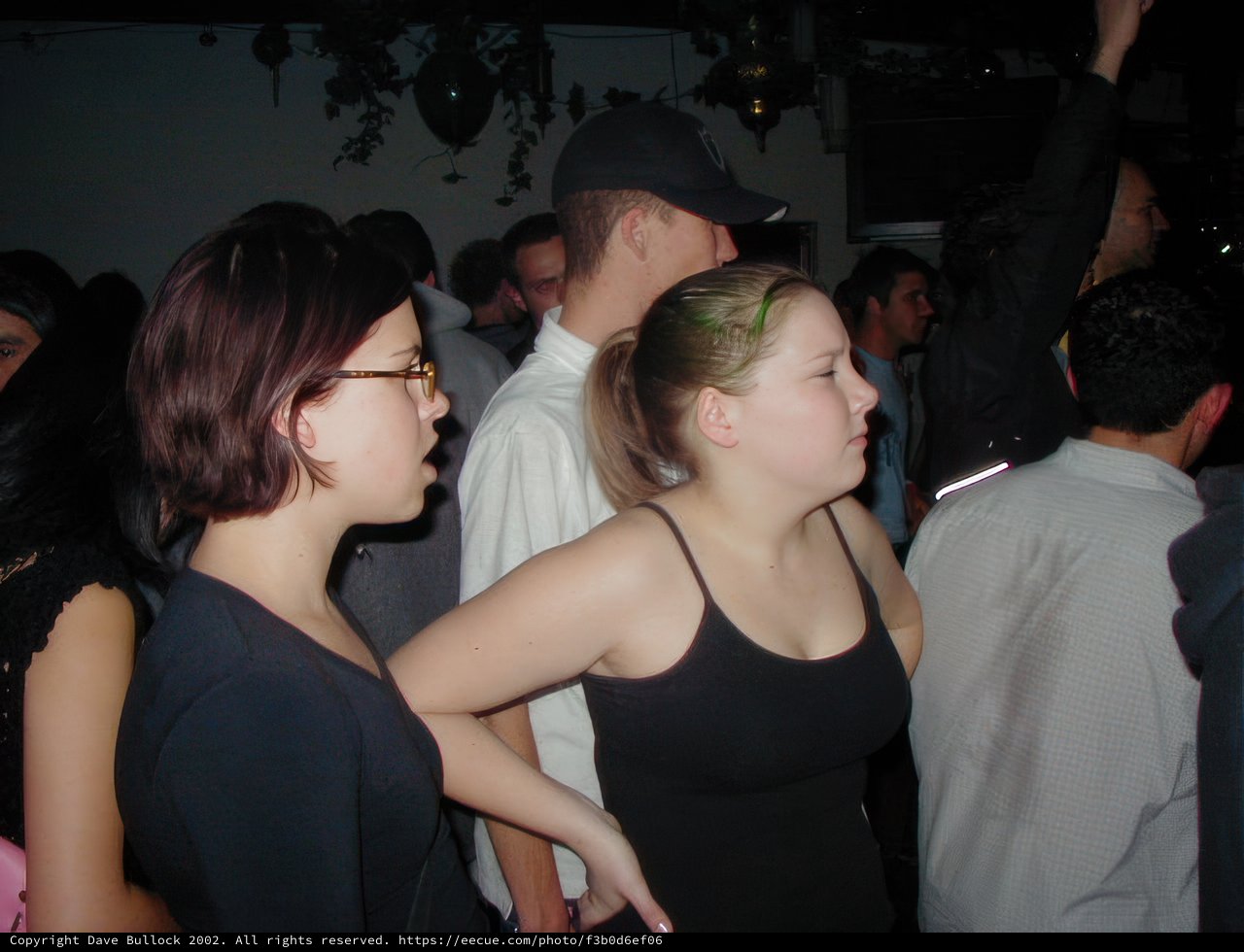 Nightclub Fun with Friends