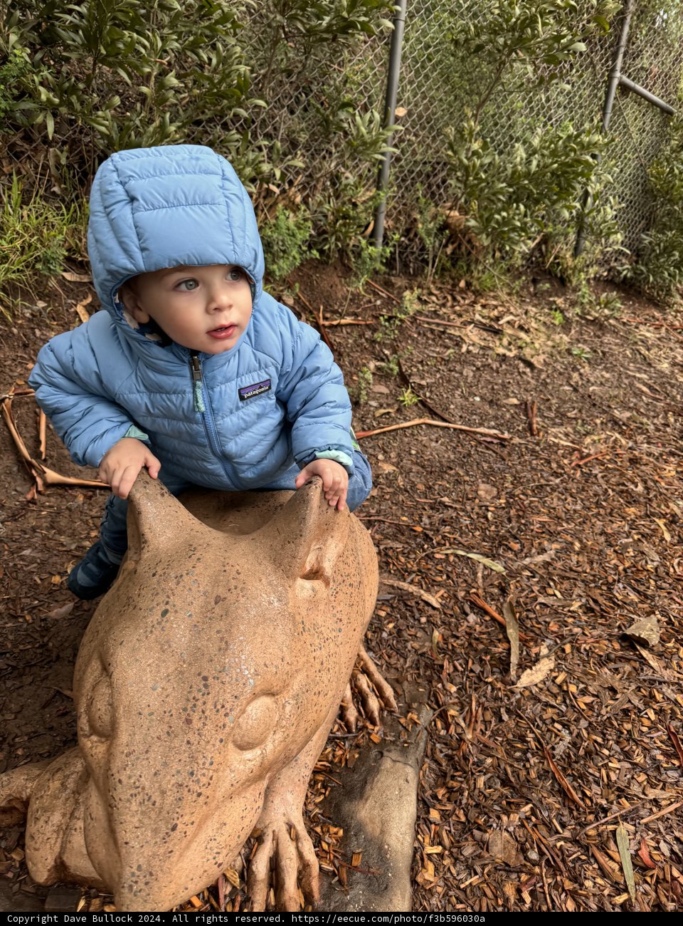 Whimsical Encounter in Marin Headlands