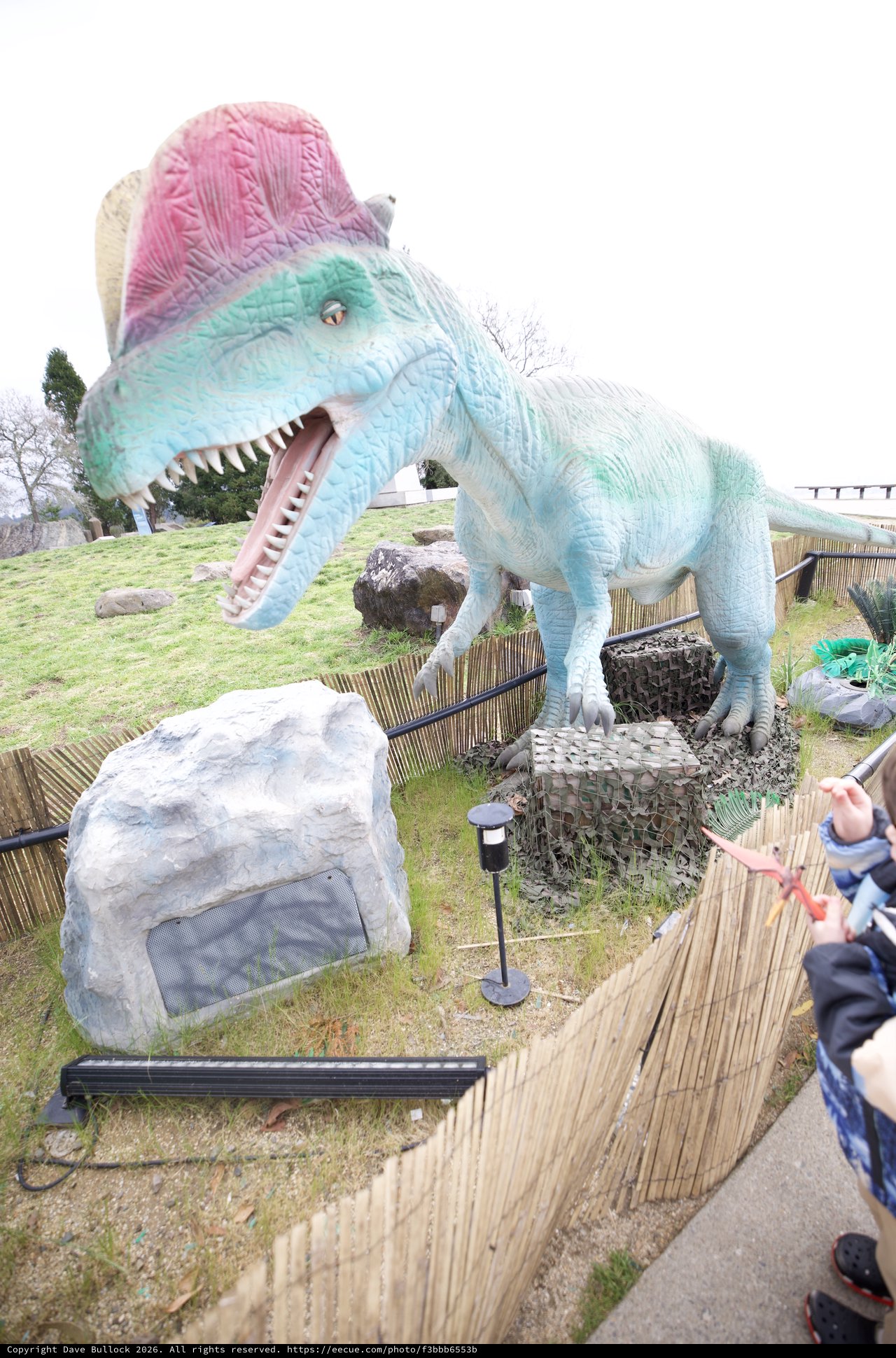 Child Encounters Colorful Spinosaurus Dinosaur at Theme Park
