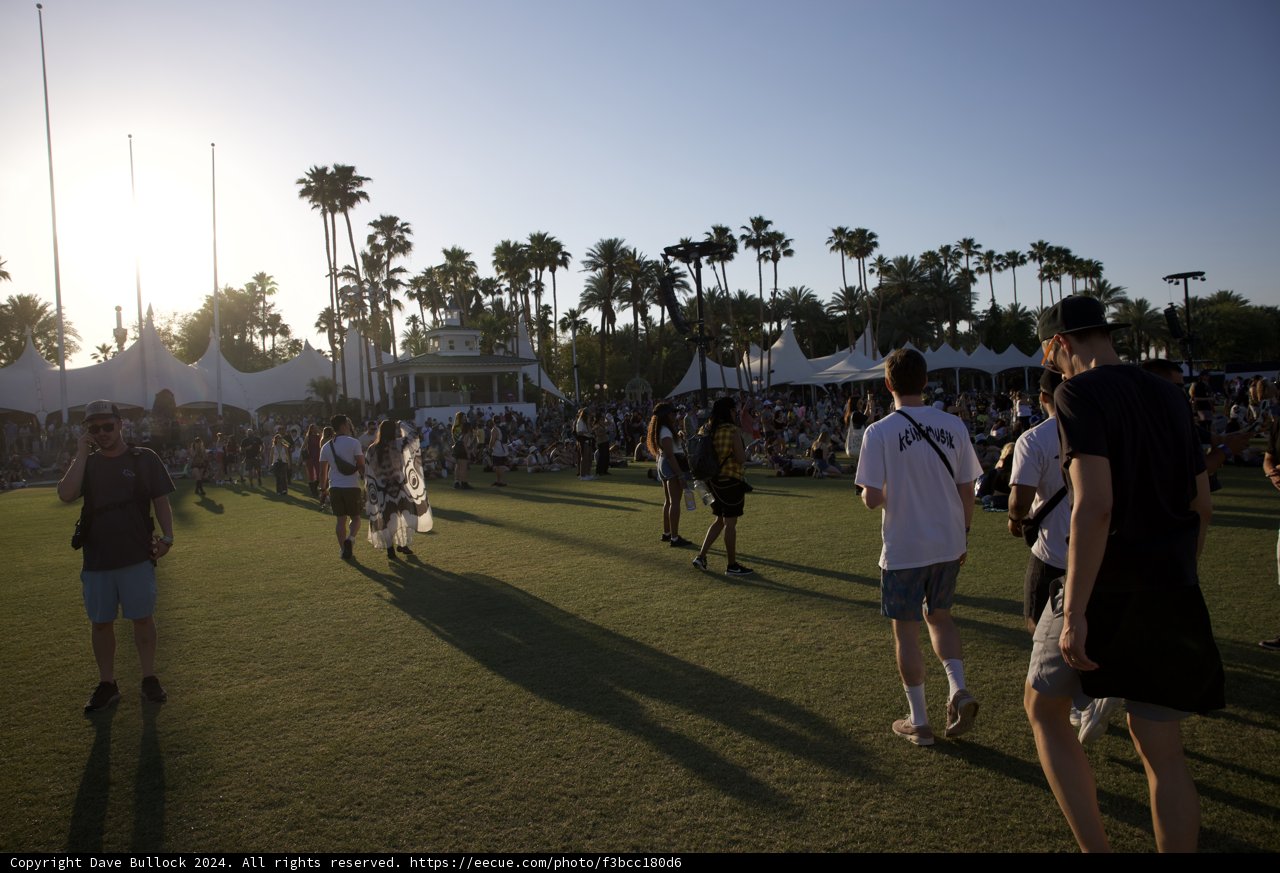 Golden Hour at Coachella 2024
