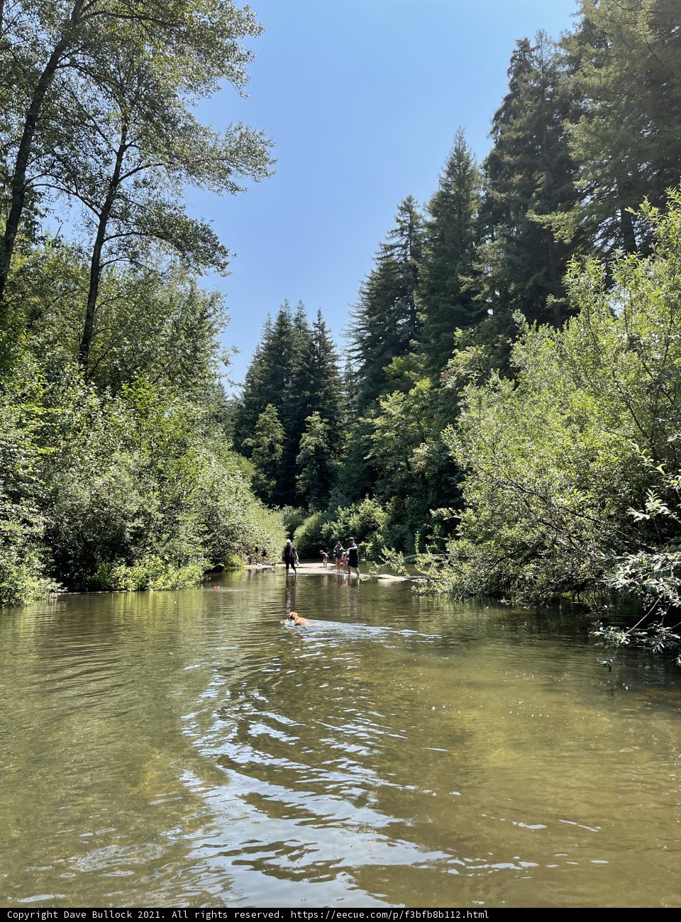 Serene Kayaking in the Heart of Nature