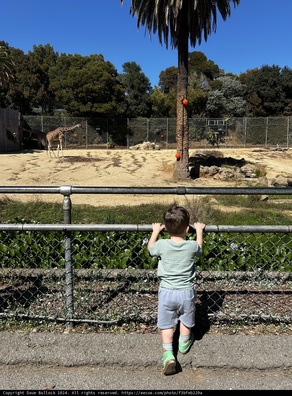 Curious Encounters