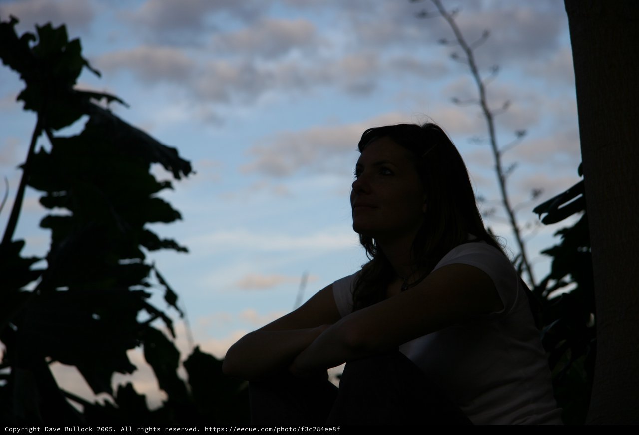 Silhouette of Woman Gazing at Twilight Sky