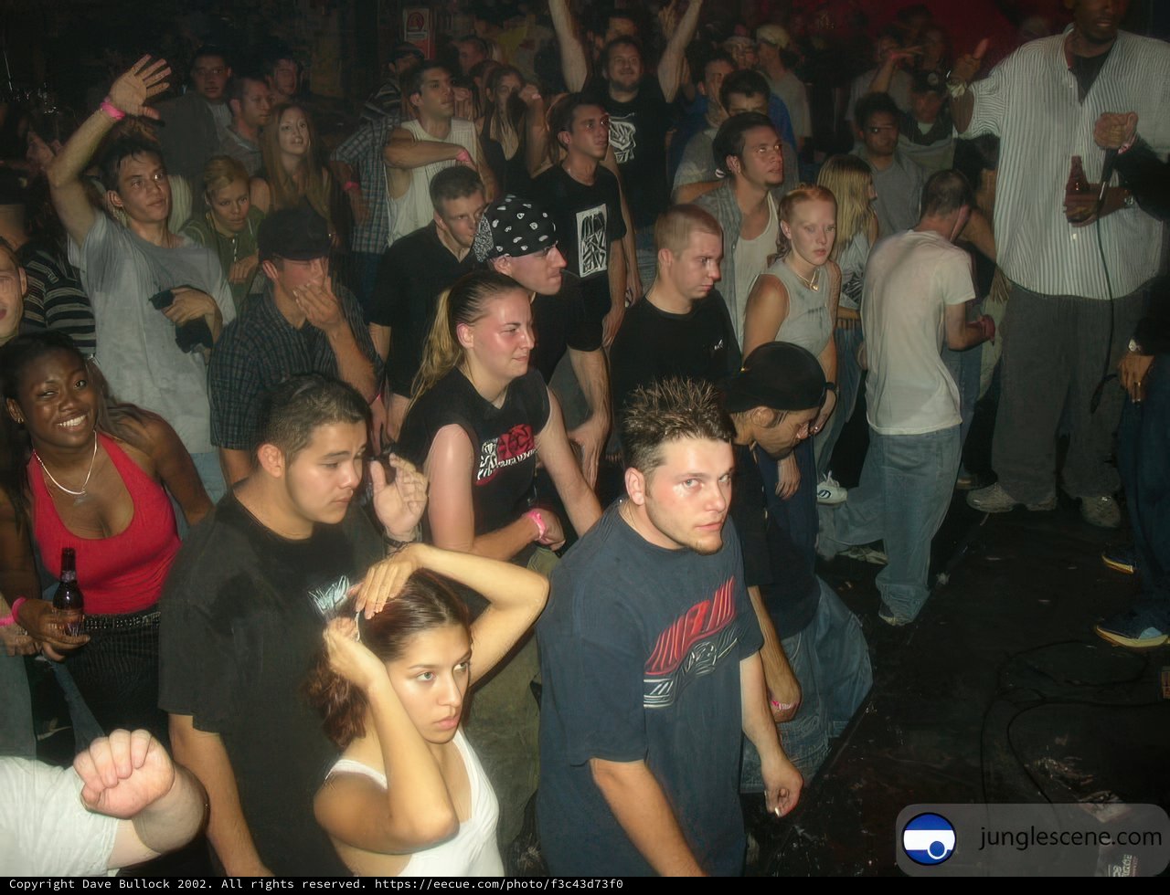 Nightclub Concert with a Center Stage Star