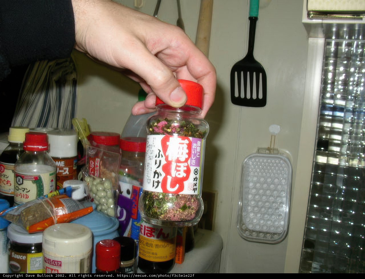 Umami in a Bottle