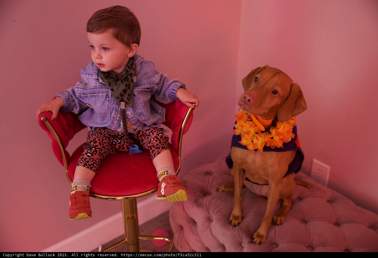 A Special Bond: Wesley's 5th Birthday With His Four-Legged Friend