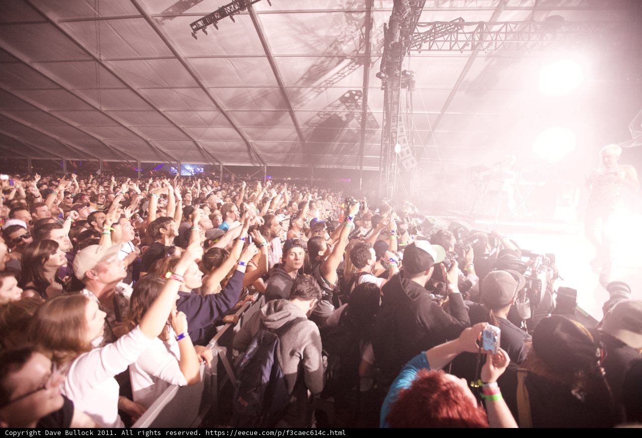 Euphoric Crowd at Coachella