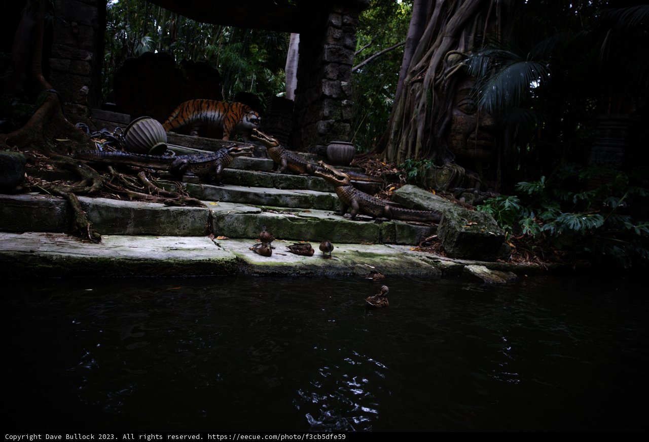 Majestic Tiger in a Serene Oasis