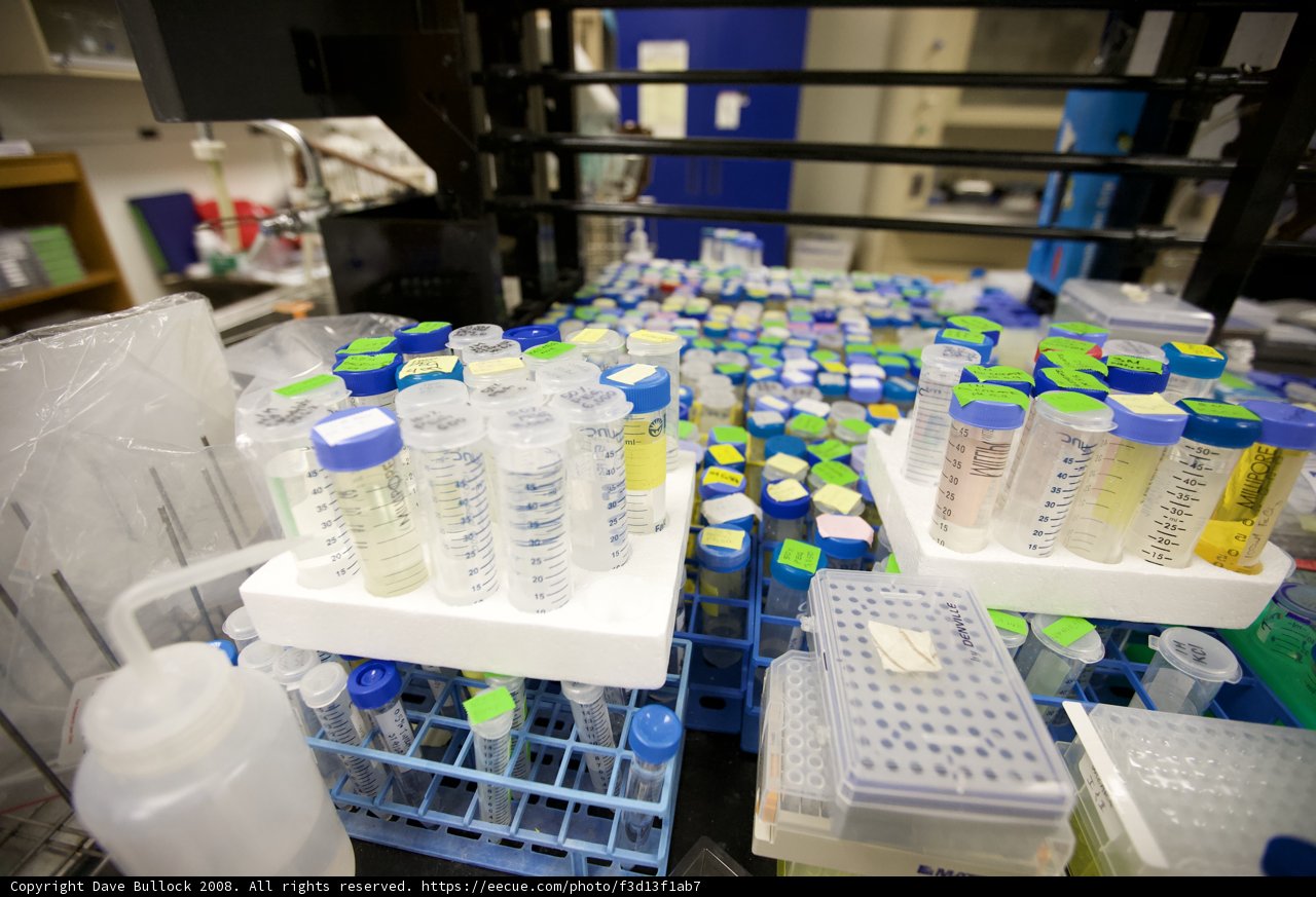 Inside the UCLA Biotech Lab