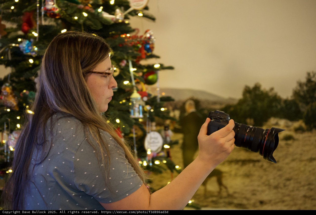 Photographer Reviewing Christmas Photos by Decorated Tree