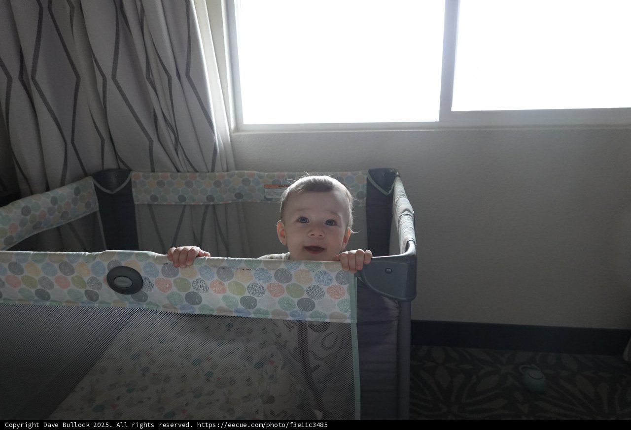 Morning Smiles