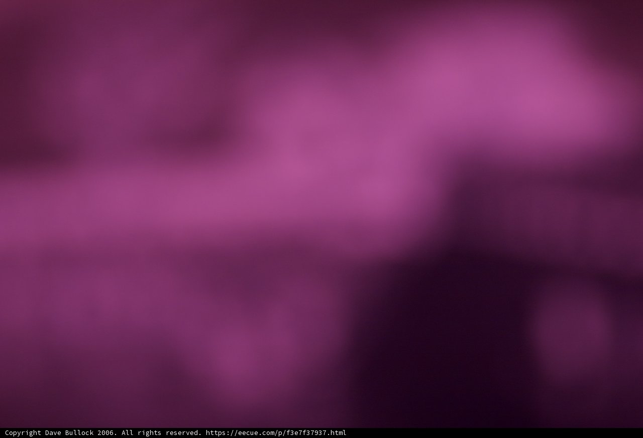 Purple Haze
