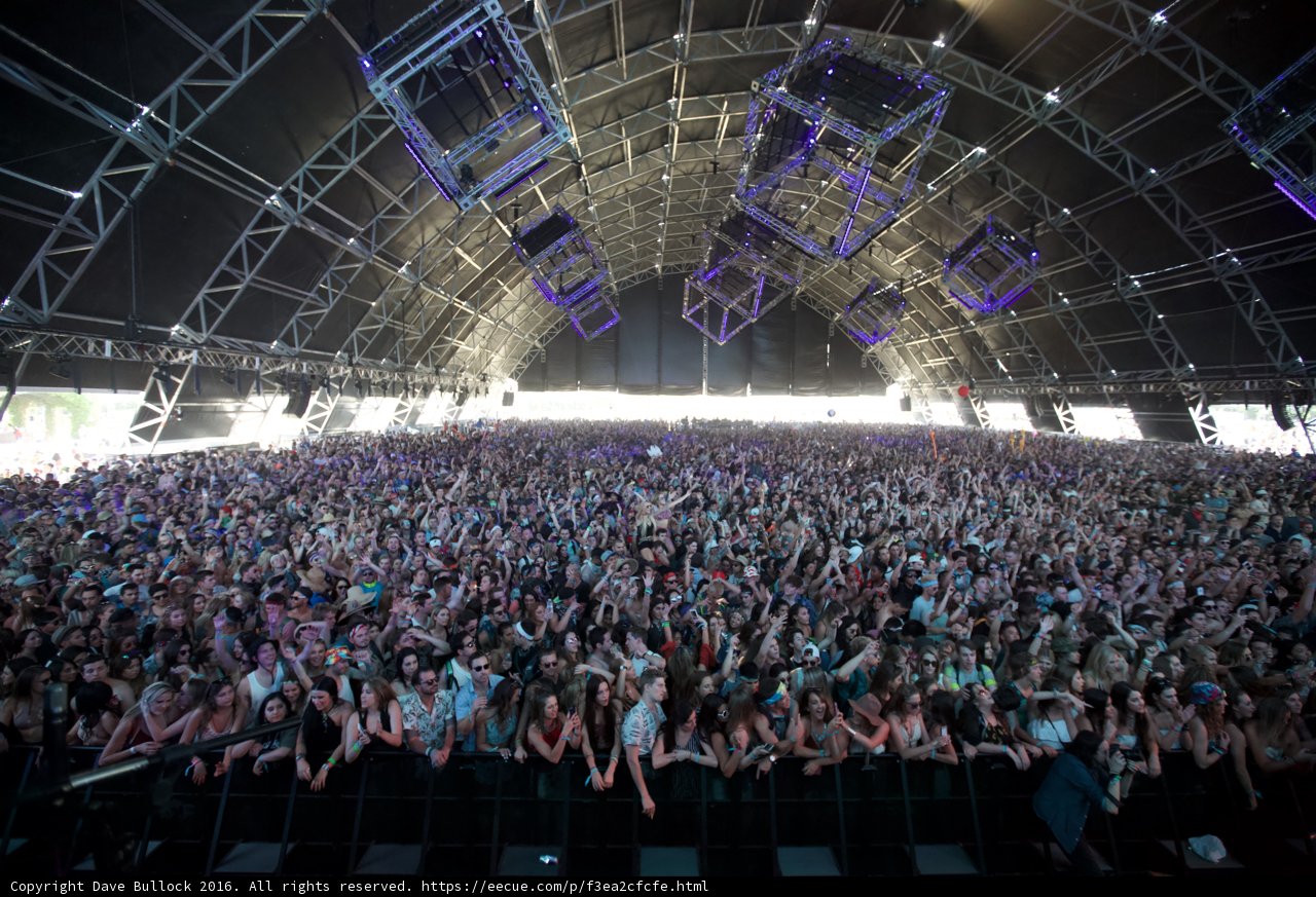Festival Frenzy