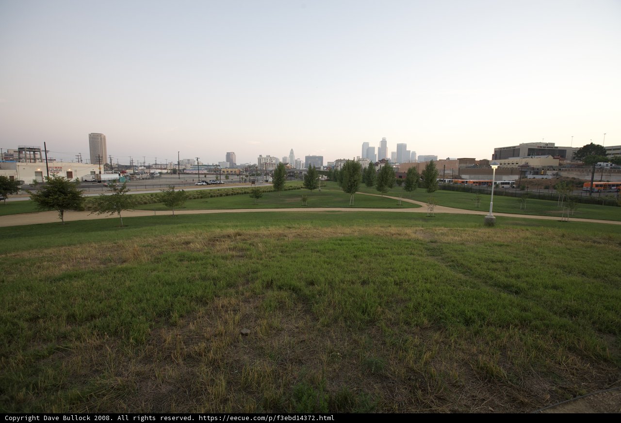 City Skyline and Lush Grass Field