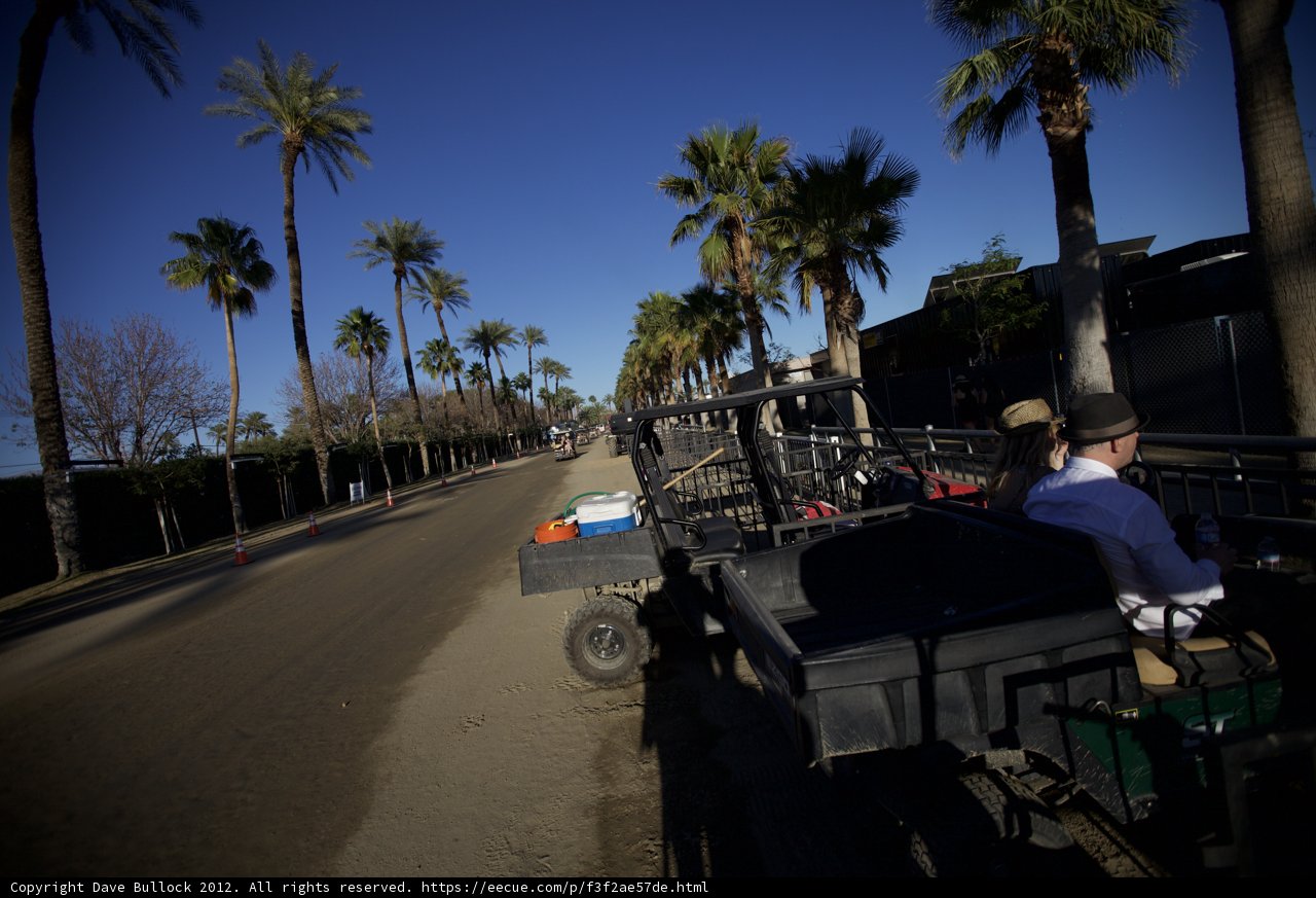 A Relaxing Ride Amongst the Palms