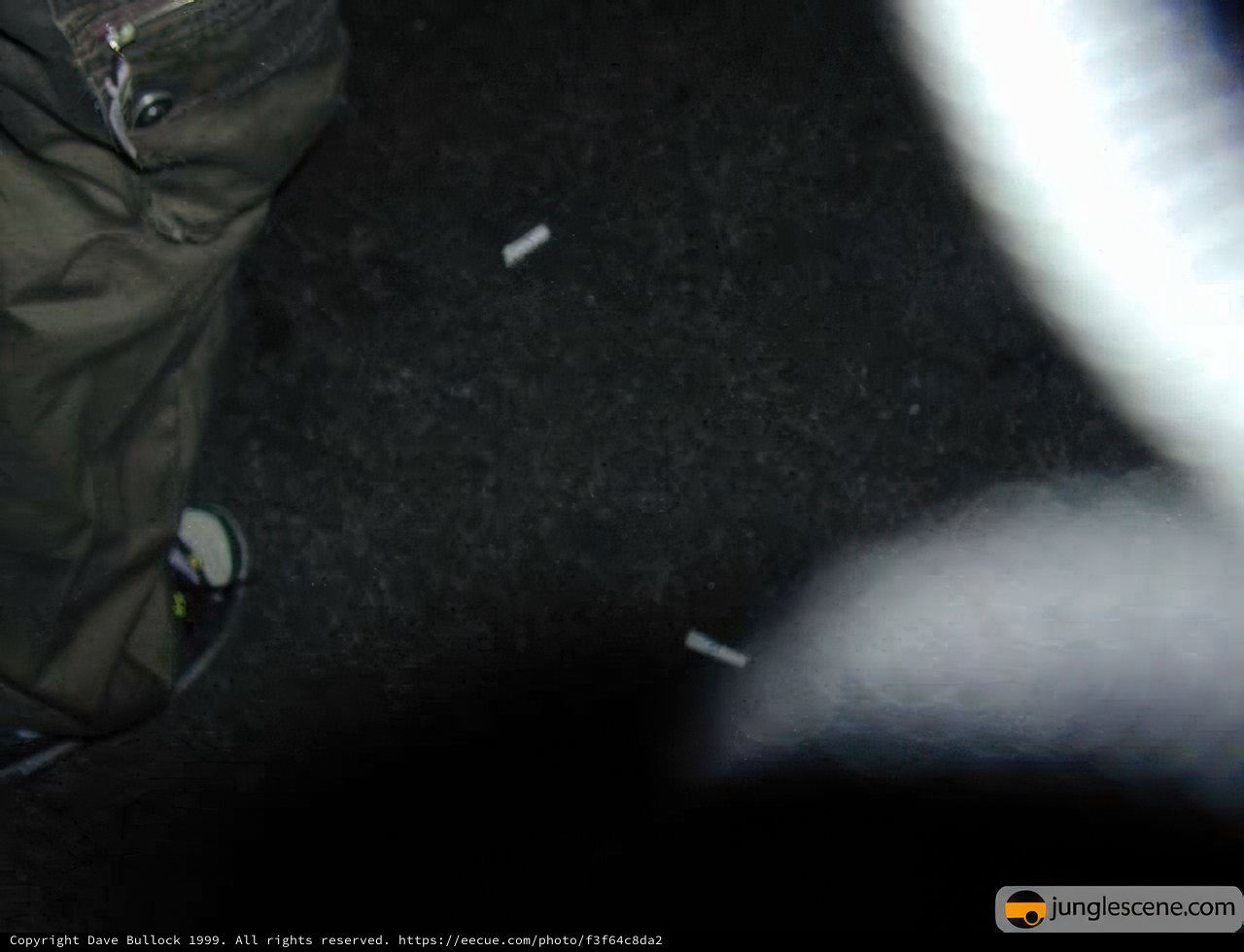 Sneaker Smoking