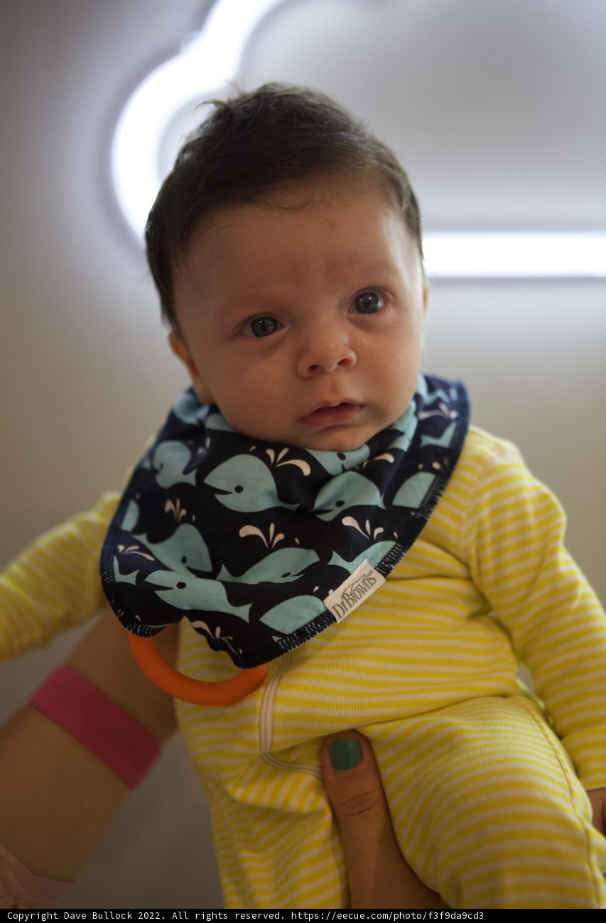 Wesley's Morning Routine