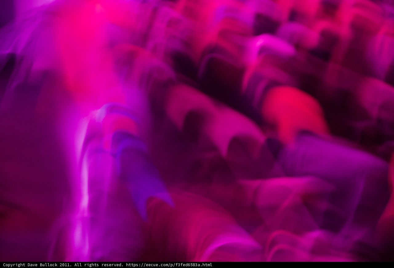 Purple Haze