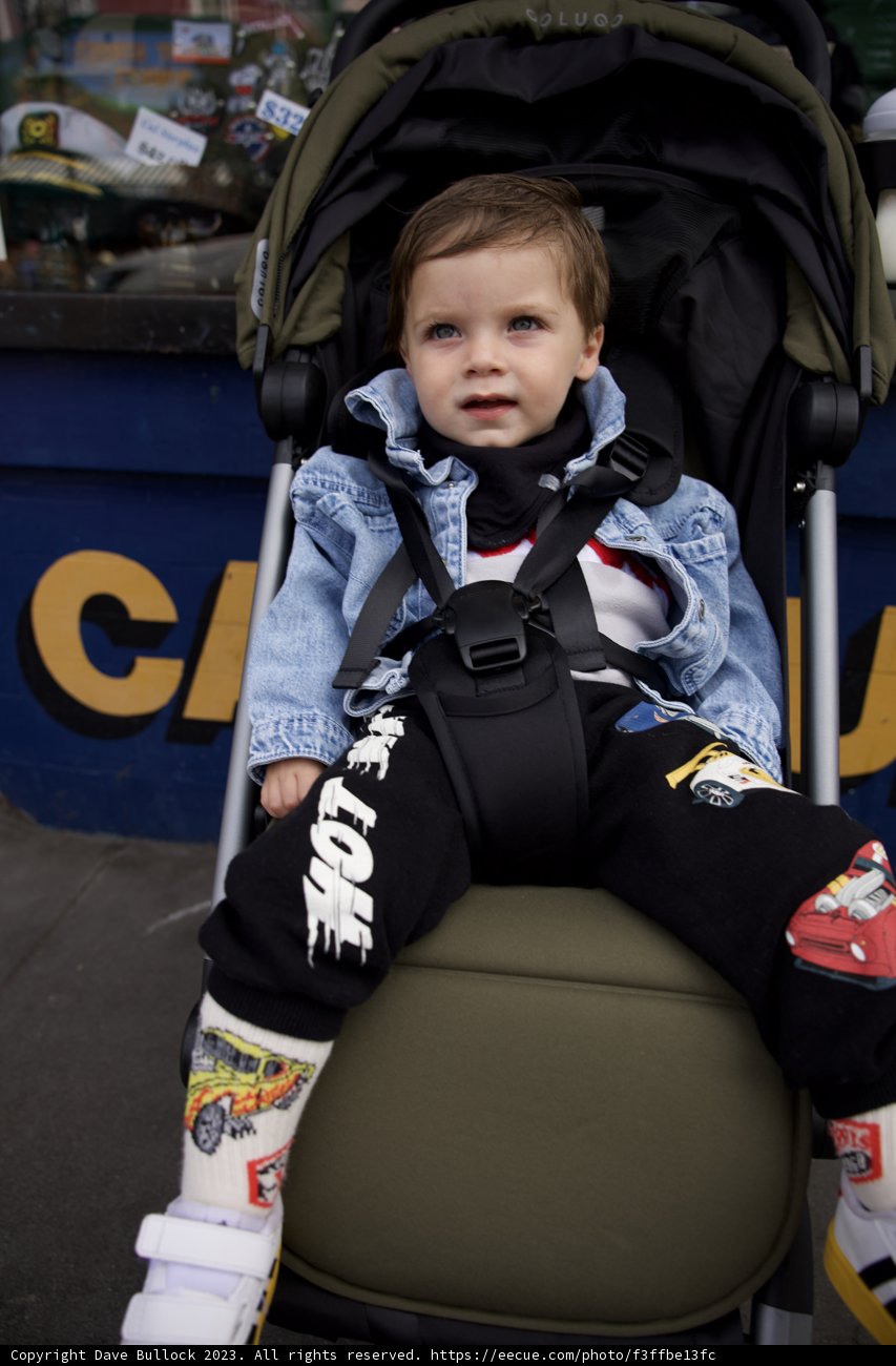 Wesley's Stroller Adventure