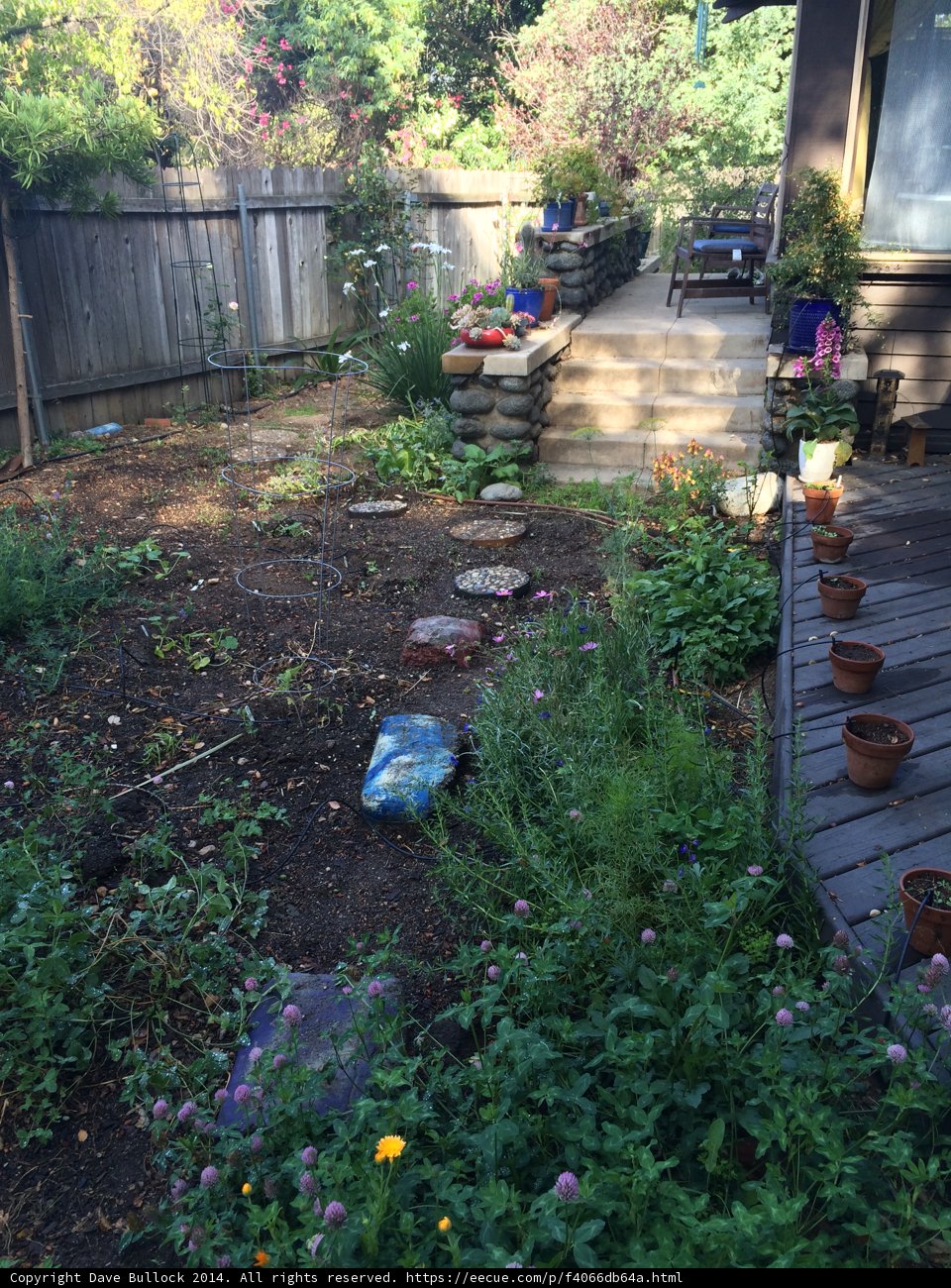 A Peaceful Backyard Garden