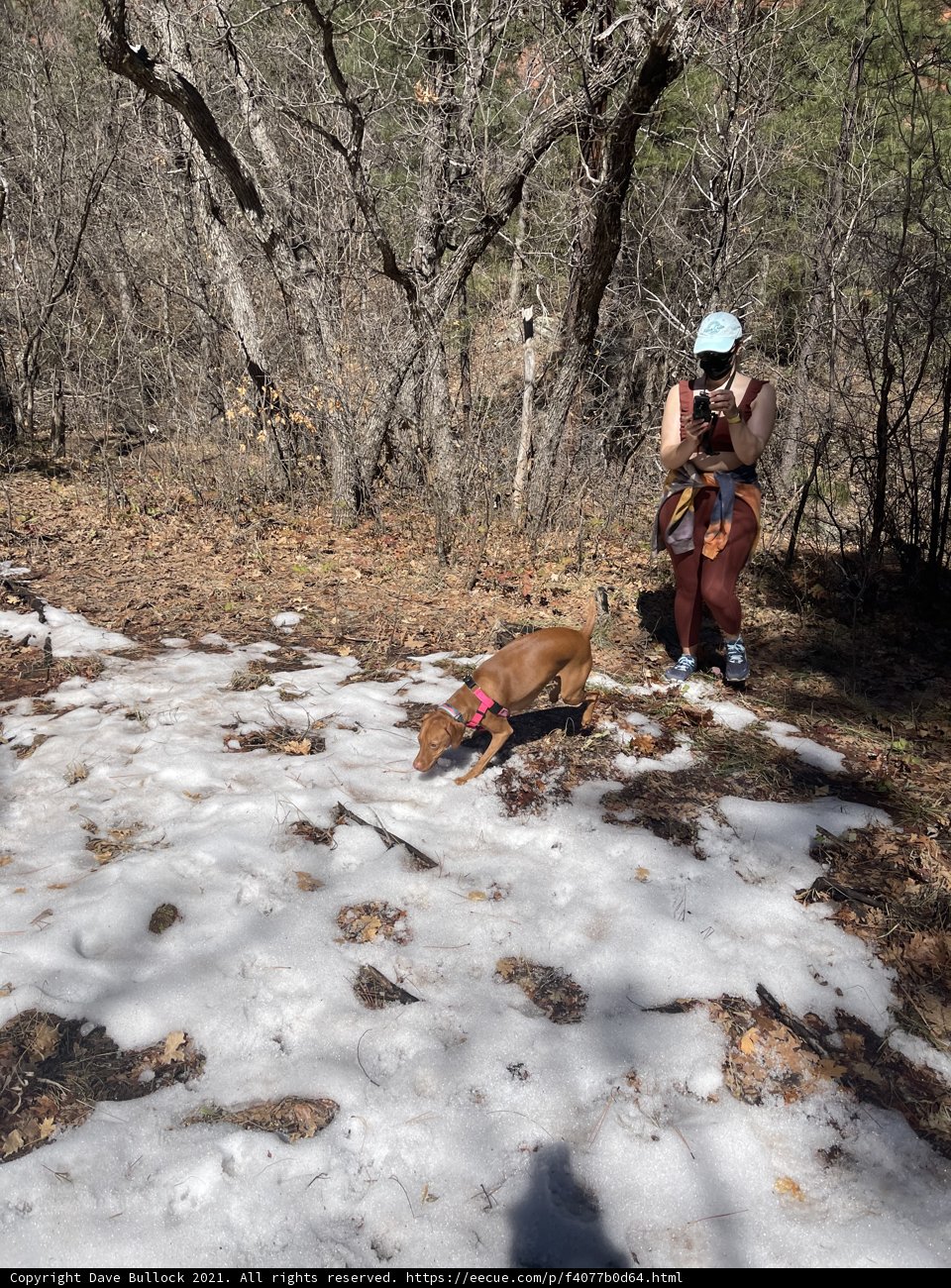 Snowy Fun in Coconino National Forest