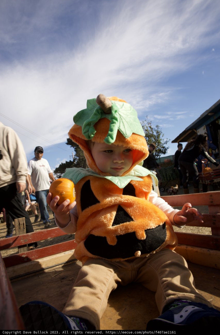 Our Little Pumpkin's Day Out at Halfmoon Bay