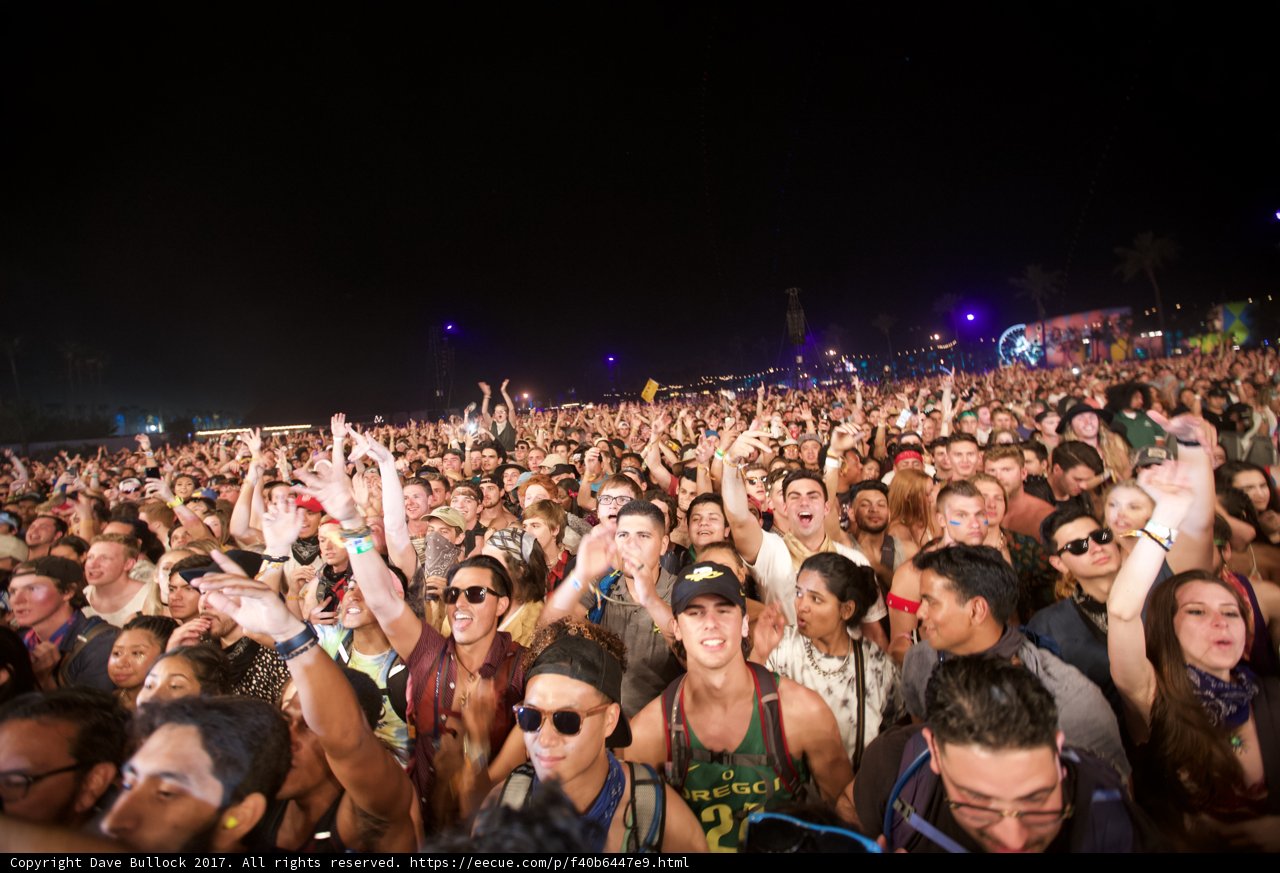Concert Crowd Under a Starry Night Sky