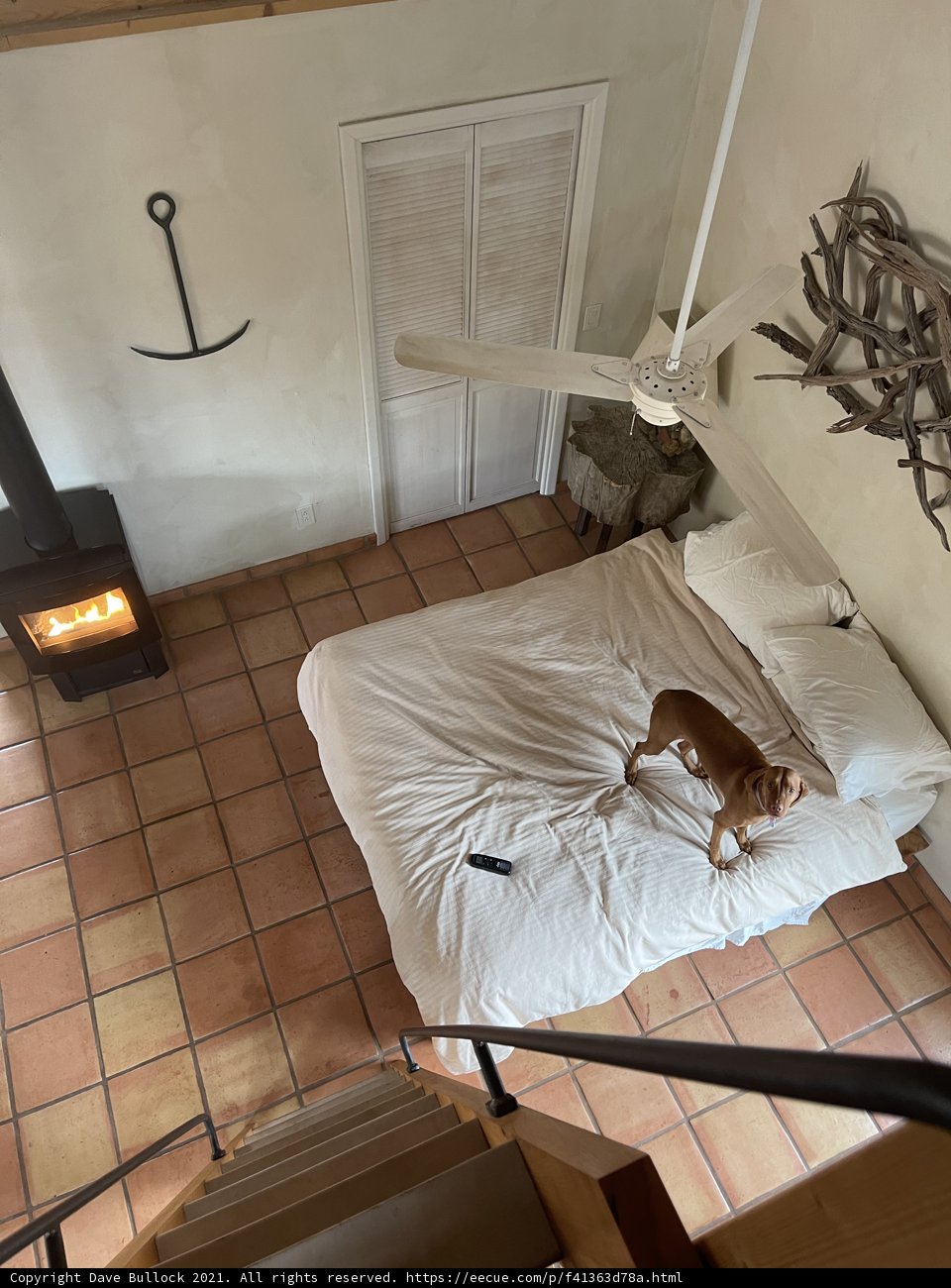 Cozy Canine Haven