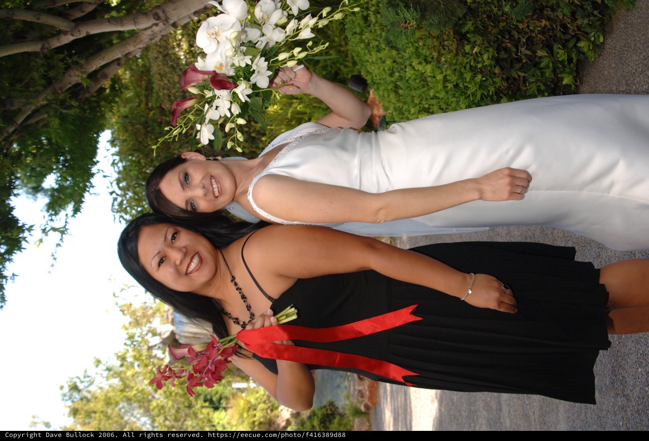 Bride and Bridesmaid Celebrate at Outdoor Wedding