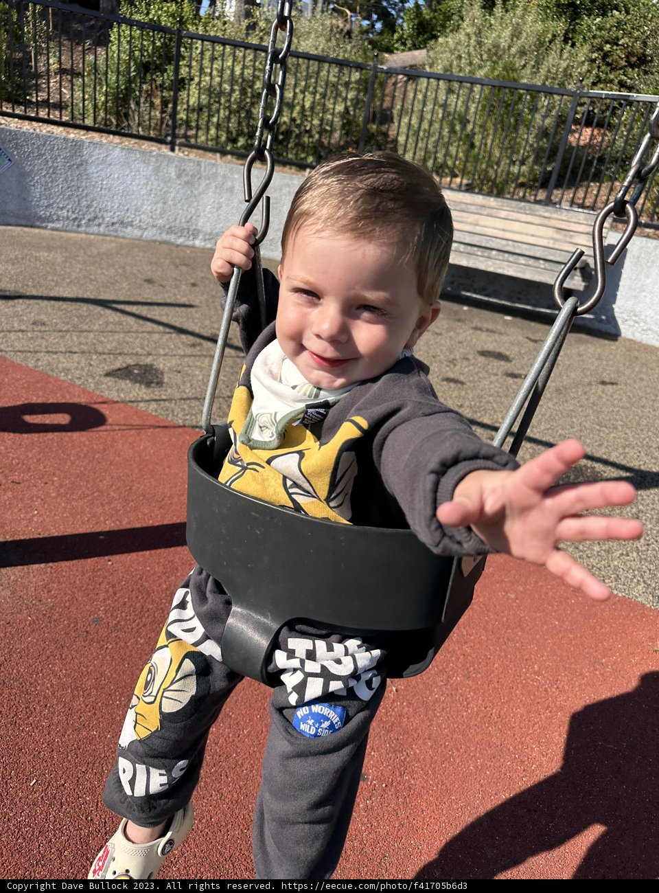 Swinging into Fun: A Day at Alamo Square Park