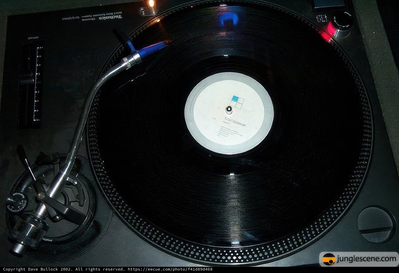 Spinning the Grooves