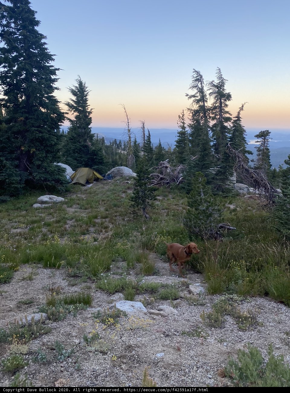 The Adventurous Canine in Desolation Wilderness