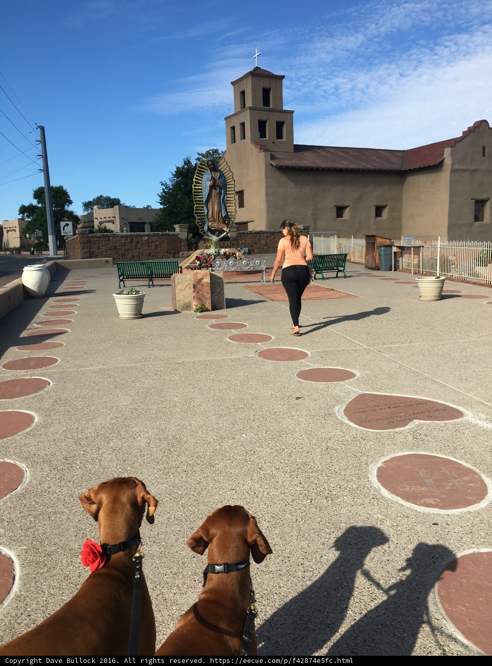 Walking with Canine Companions in Santa Fe