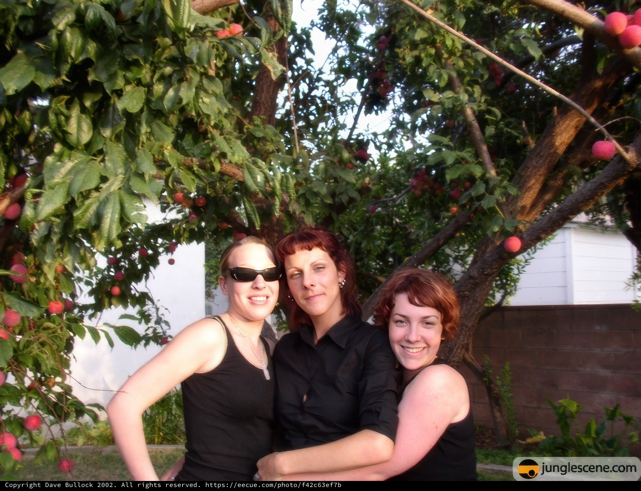 Fruit Picking with Friends