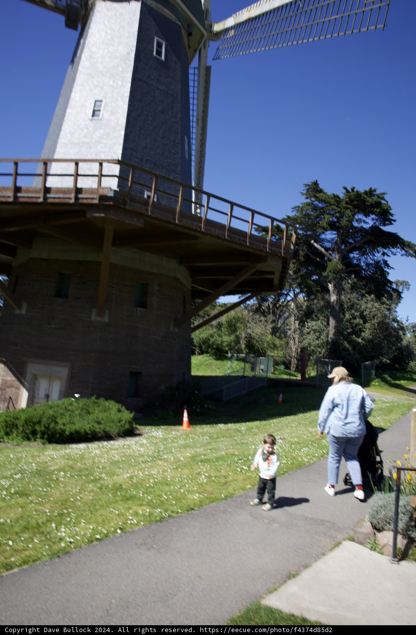 Capturing Moments in Golden Gate Park