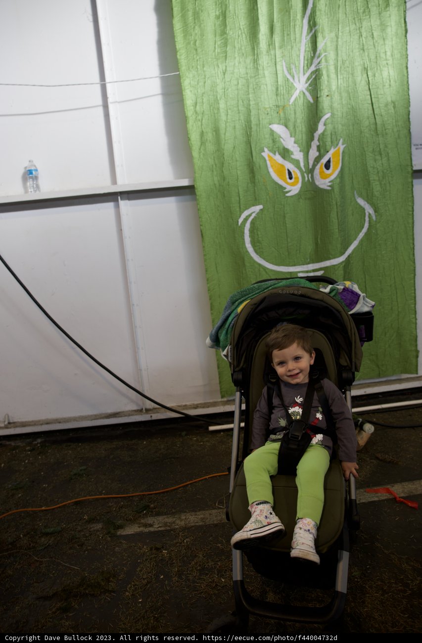 A Day Out at Fort Mason
