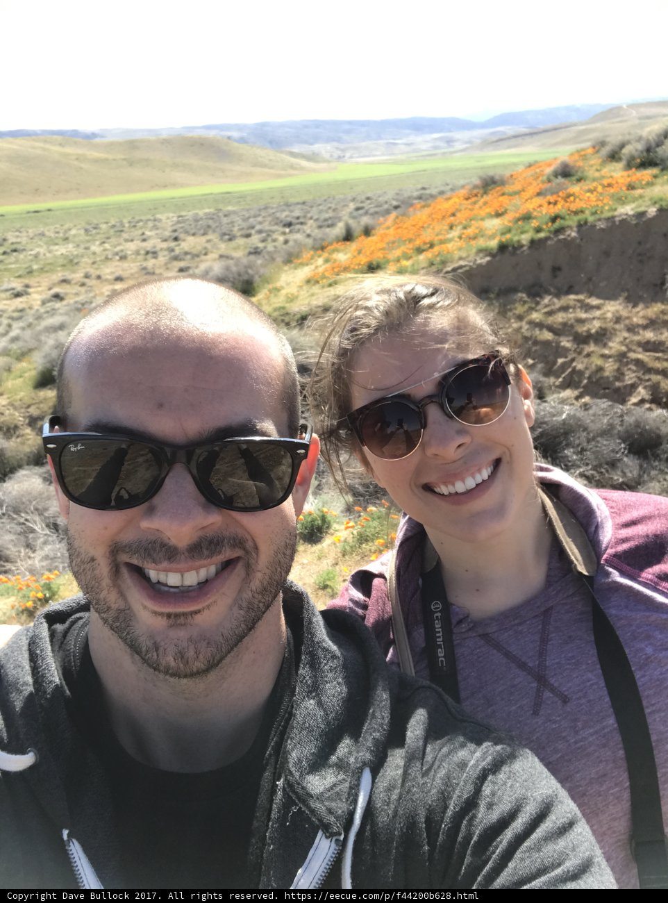 Flower Field Fun