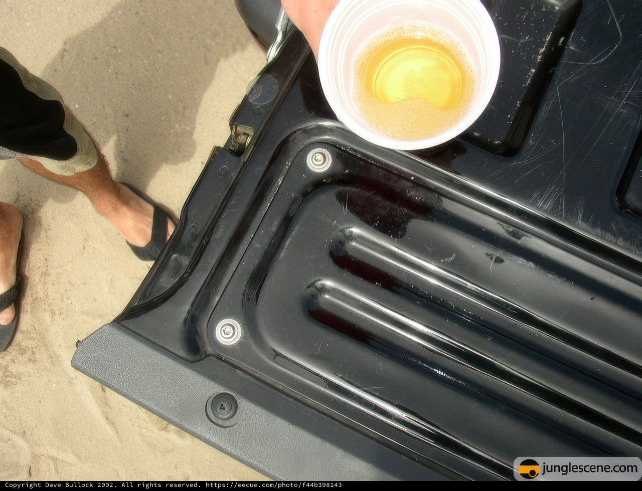 Beach Brews
