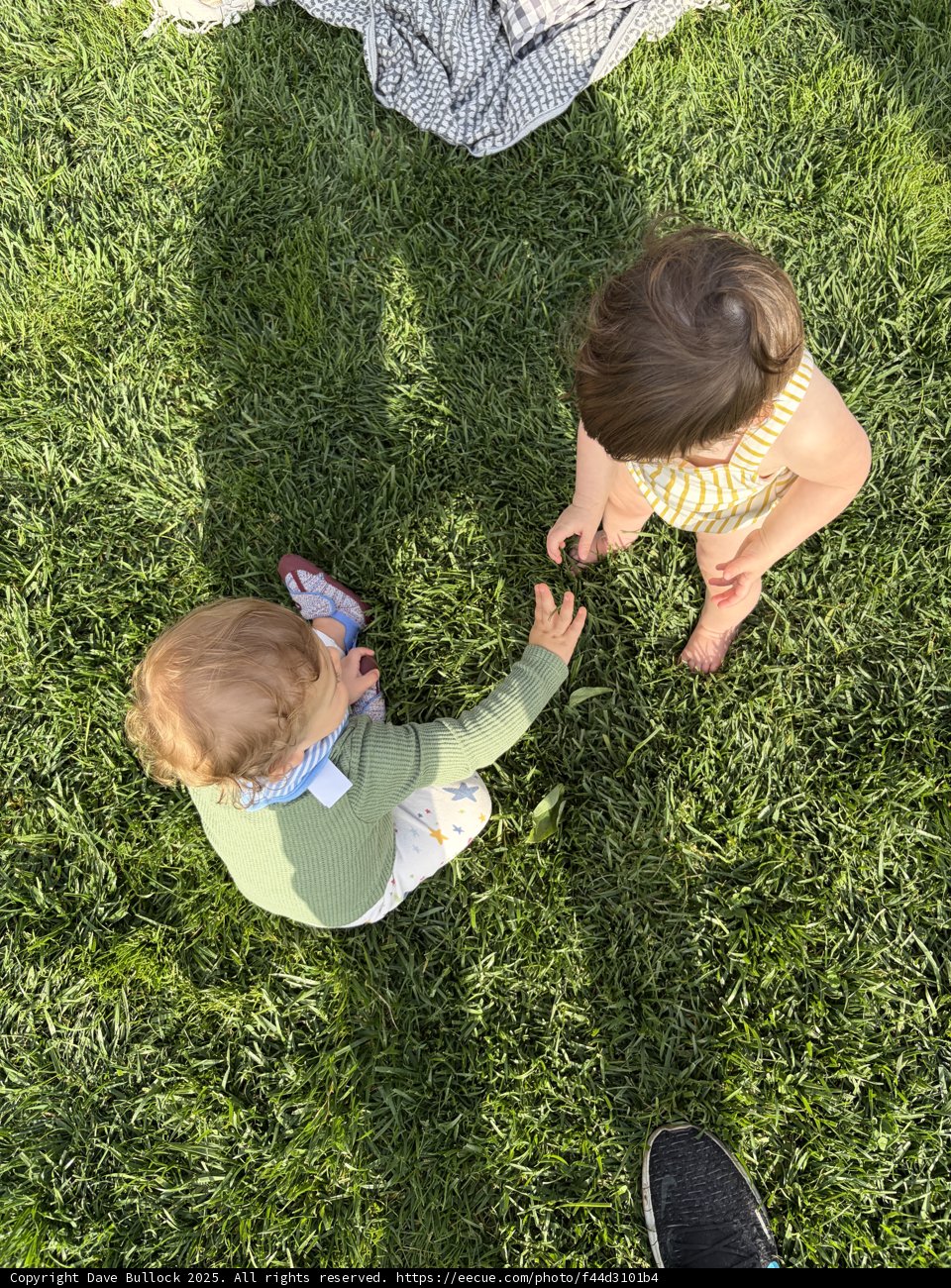 Tiny Explorers in Green