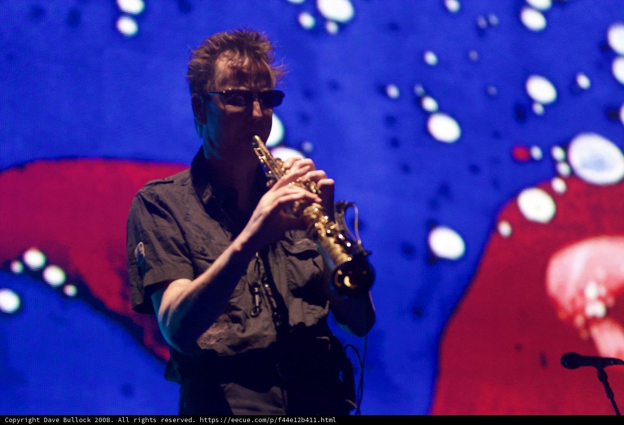 Horns in the Desert
