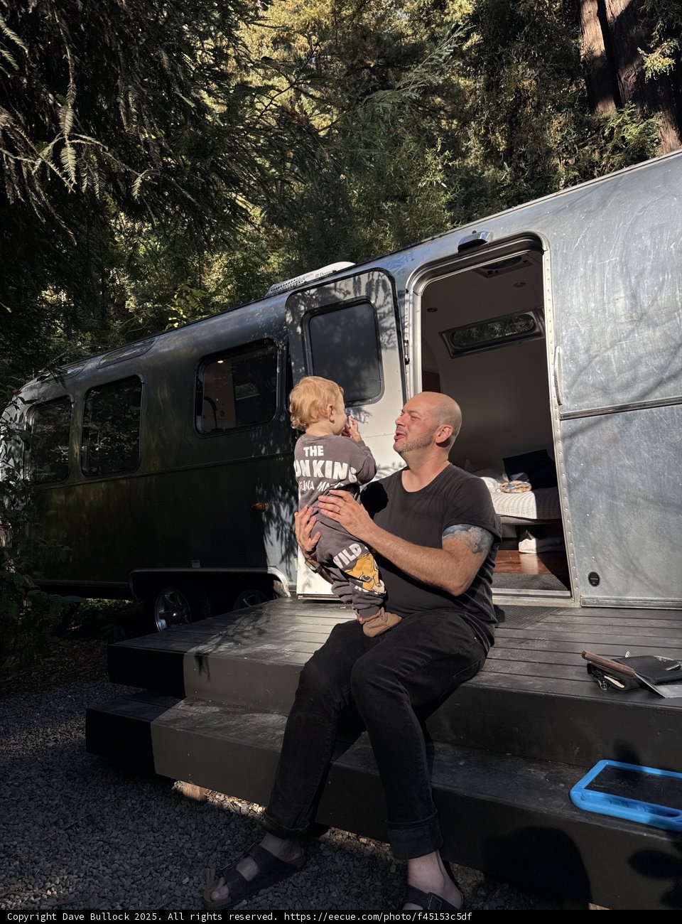 Morning Moments in the Redwood Grove