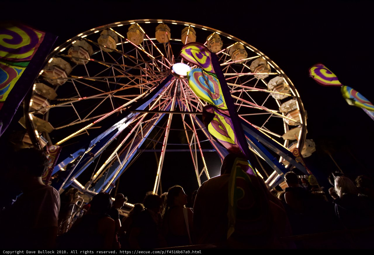 Lights of the Night