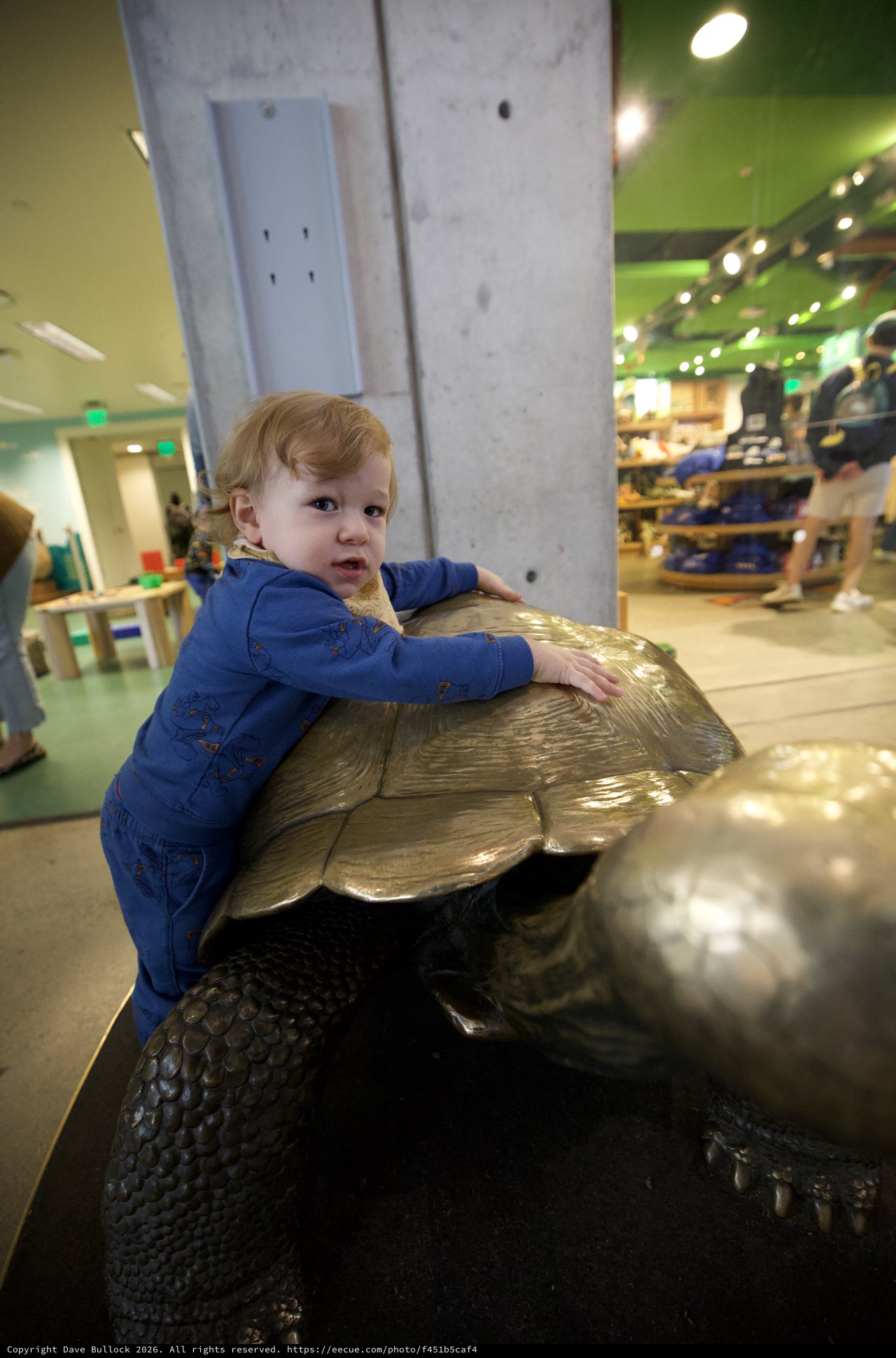 Toddler Embracing Bronze Turtle Sculpture in Children's Museum