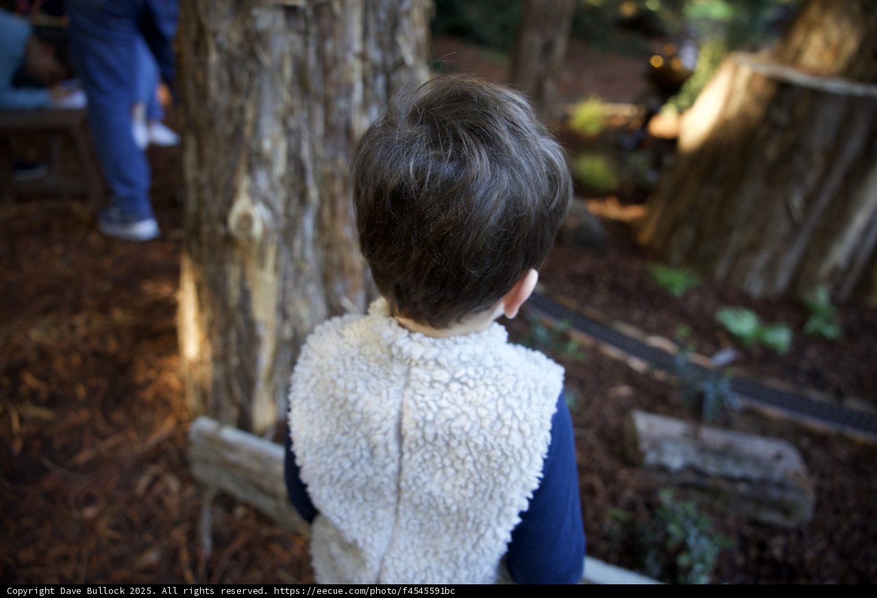 Exploring Nature's Majesty