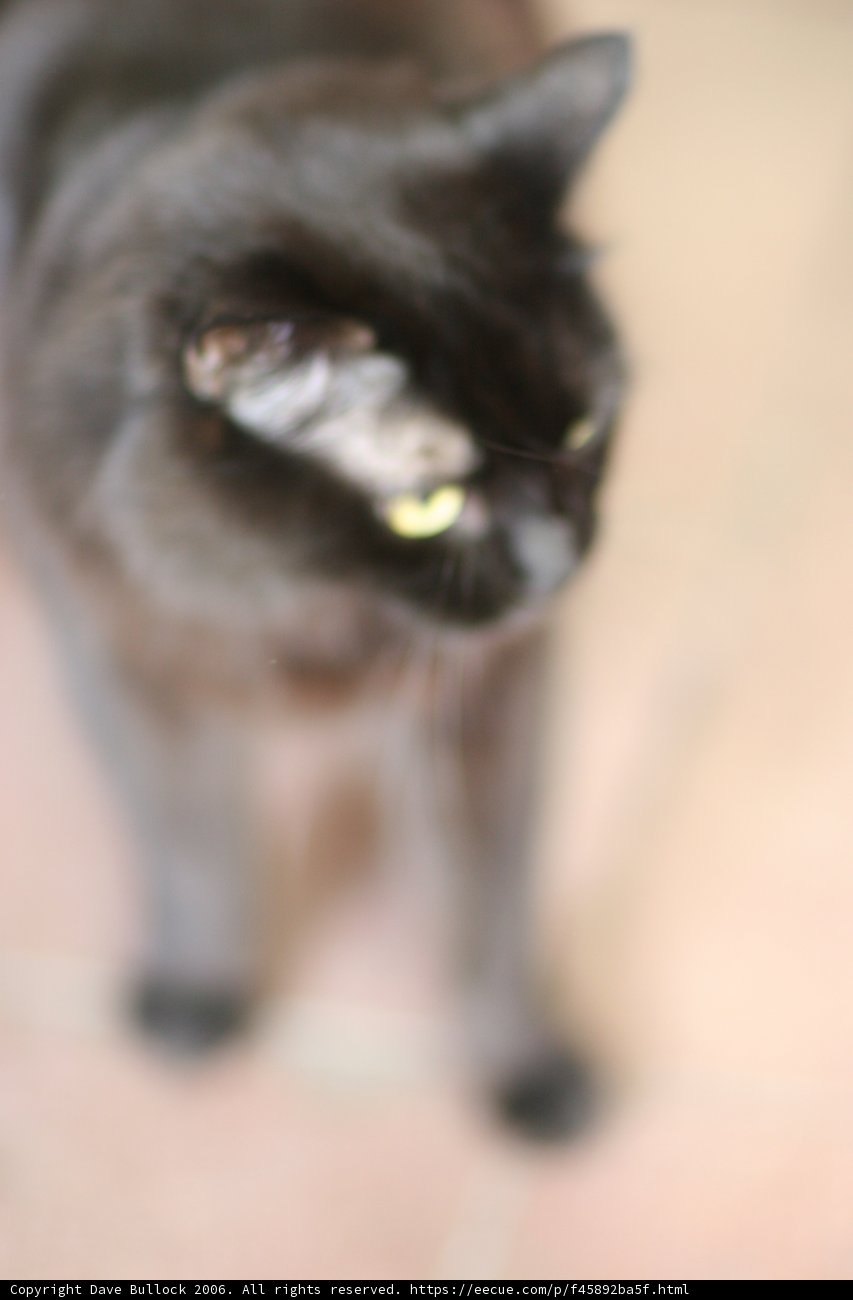 Mystical Gaze