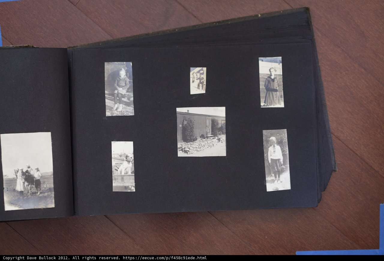 The Bullock Curtis Family Photo Album