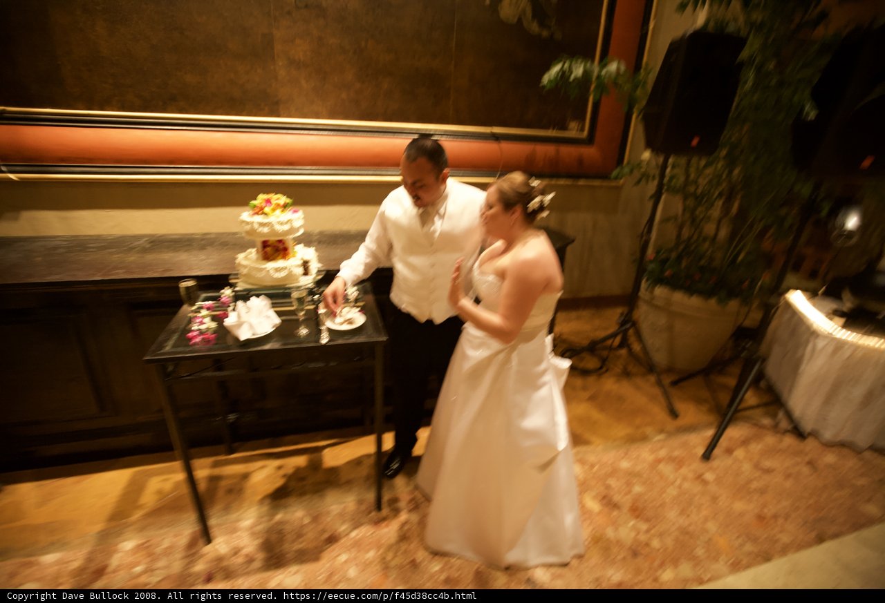 Wedding Cake Celebration