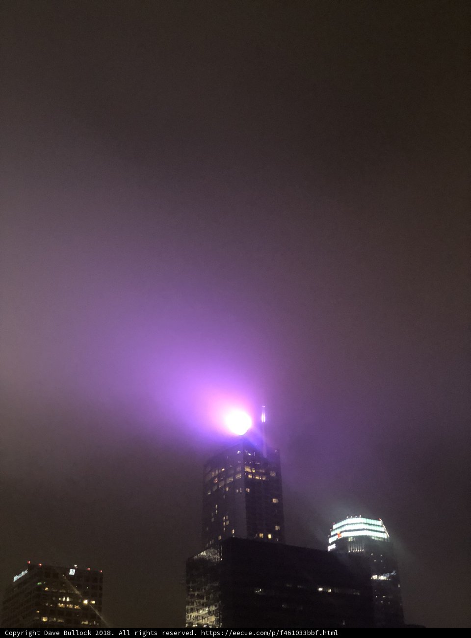 Purple Haze
