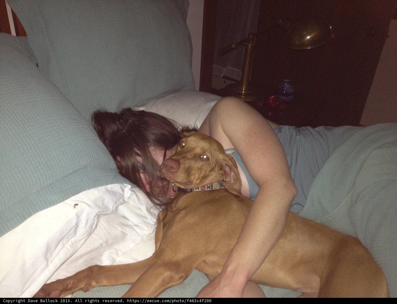 Cozy Company Caption: This woman and her Vizsla puppy enjoy a comfortable night in their Pasadena bedroom. The soft bedding, lamp light, and furry companion create a warm and inviting atmosphere.