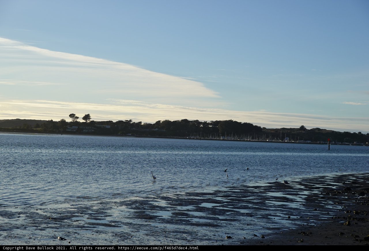Serene Reservoir with Avian Guests